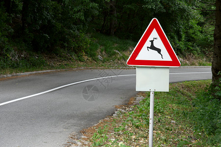 雅鹿标志路标路牌环境驯鹿标志荒野动物危险交通曲线驾驶三角形背景