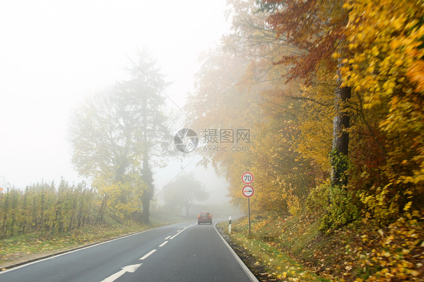 森林和道路中的雾能见度树木车辆秋雾图片