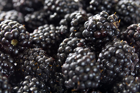黑莓堆黑色宏观水果背景图片
