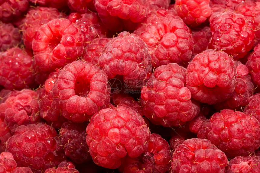 草莓水果浆果甜点活力食物红色饮食营养图片