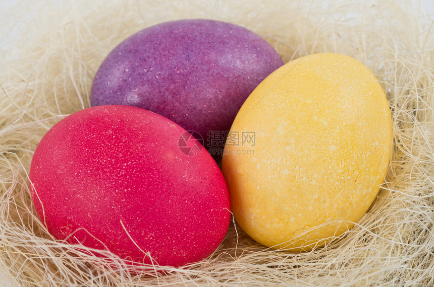 巢中的鸡蛋紫丁香母鸡黄色粉色图片