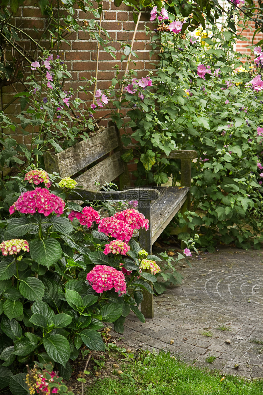 带长椅和花板的乡村式花园粉色花朵夏园杂草绿色院子生长荒野植物后院图片
