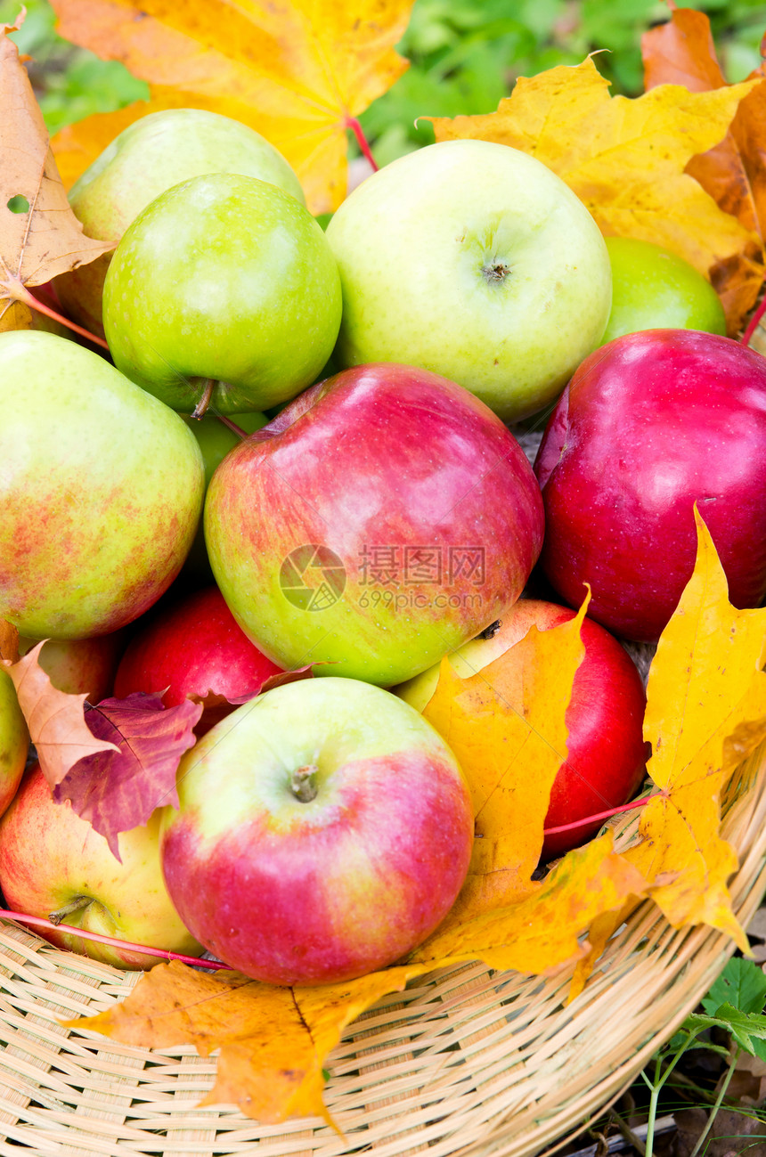 篮子中新鲜苹果红色季节黄色收成水果食物叶子花园图片