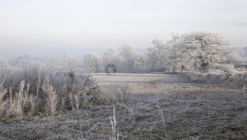 英格兰冰冻豪华冻结季节性农村树篱薄雾丘陵季节英语农田橡木图片