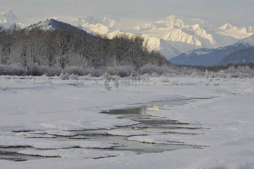 阿拉斯加的雪覆盖山地球生态全景风景日落冻结海岸线旅行天空峡湾图片