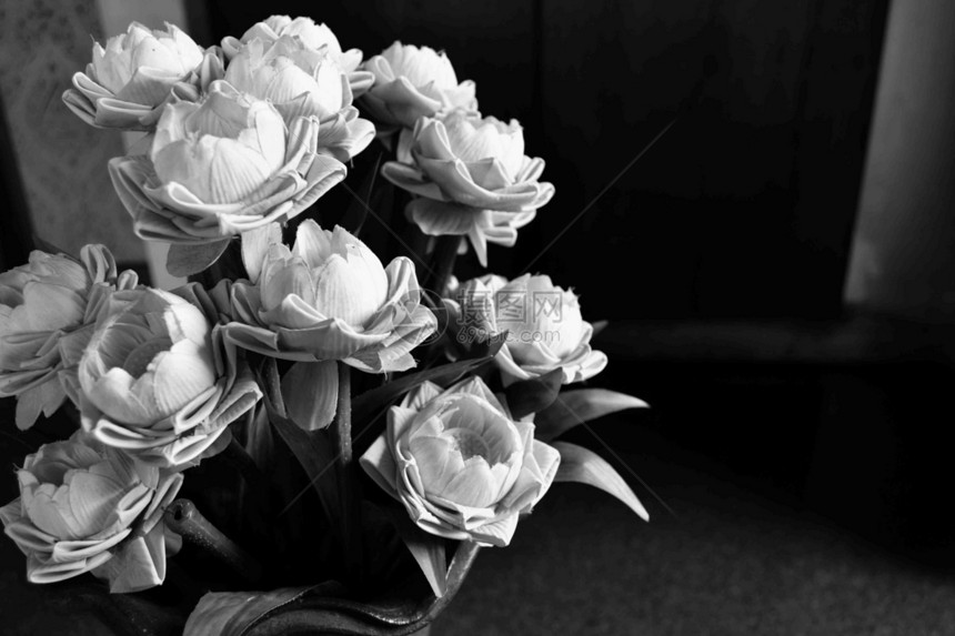 花瓶中的莲花花热带植物群制品陶瓷花朵白色季节植物异国静物图片