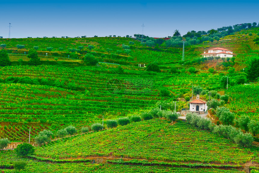 葡萄牙山丘种植园藤蔓水果教会农业港口农场旅行国家天空图片