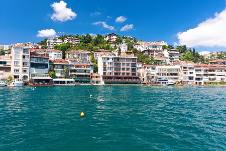 鲁斯海峡火鸡旅行高清图片