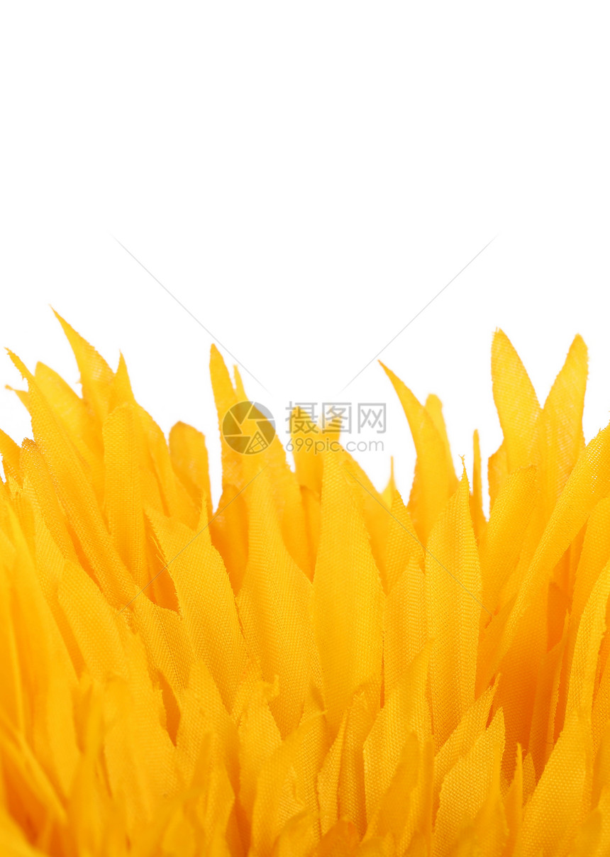 黄色花瓣的紧贴处植物植物学花园植物群圆形男人宏观图片