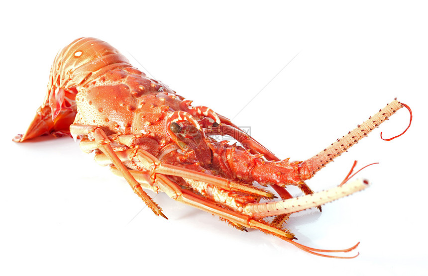 龙虾餐厅食物节食海鲜动物甲壳奢华美食图片