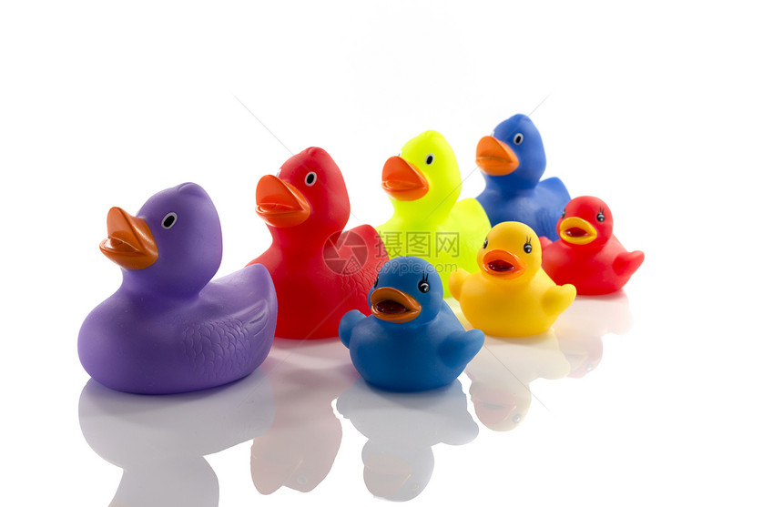 白上隔离的玩具橡胶鸭乐趣蓝色红色粉色橡皮鸟类绿色白色微笑鸭子图片