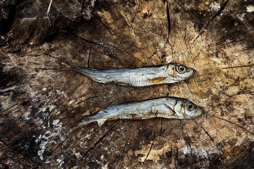 木上两只小干鱼木头食物图片