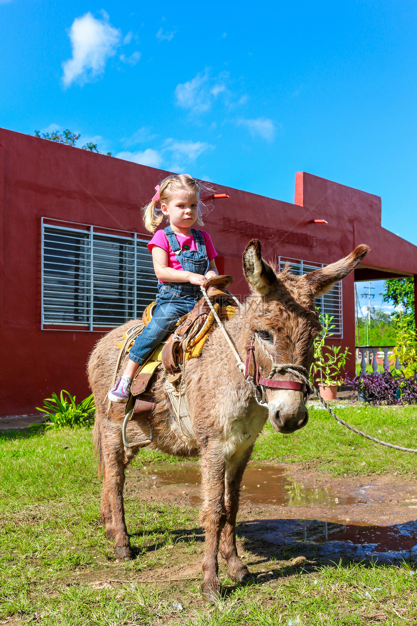 儿童骑着迷你驴毛发孩子女孩马匹天空工作骑术乐趣快乐微笑图片