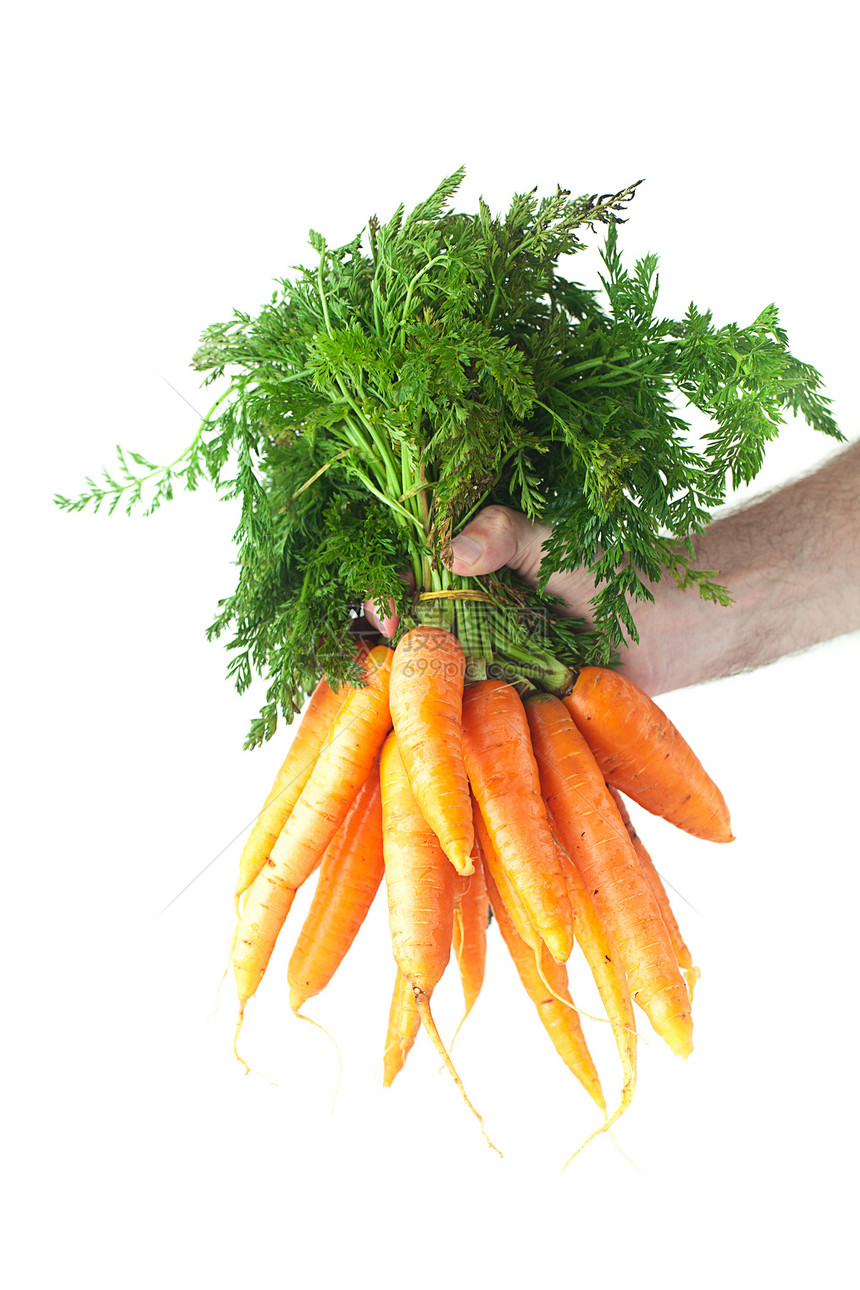 一堆胡萝卜和绿色叶子 在一个人的手随心所欲地被孤立饮食橙子花园收成蔬菜团体男人植物营养沙拉图片