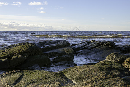 海滩低视图天空贝壳蓝色棕色背景图片
