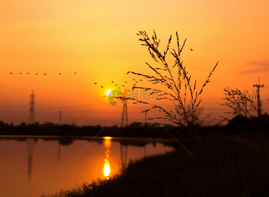 江面日落蓝色阳光黄色反射树木场地海洋天空钓鱼鸟类图片