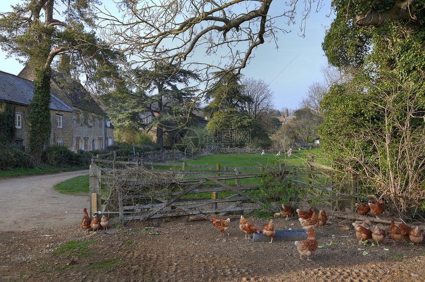 英语村庄 有农场和鸡鸡场地白话田园巧克力盒农业乡村小屋风光谷仓农村图片