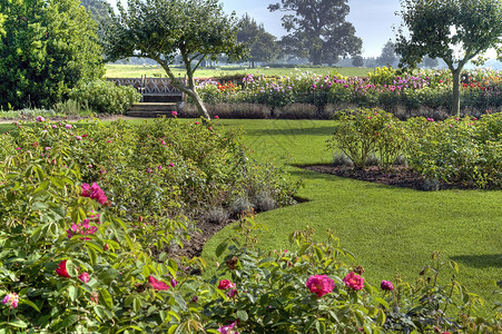 沃维克郡玫瑰花园背景图片