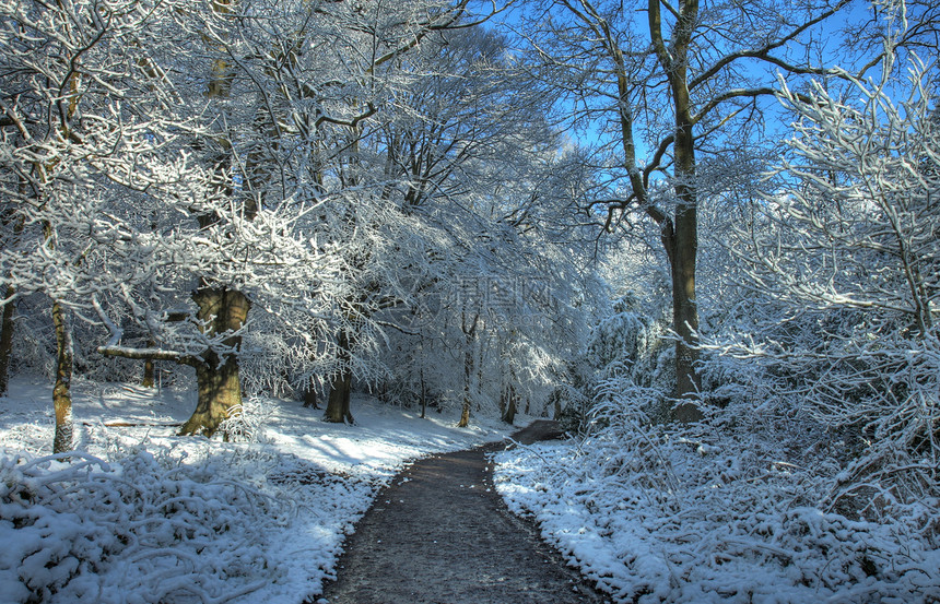 冬季林地乡村树木国家农村小路英语森林图片