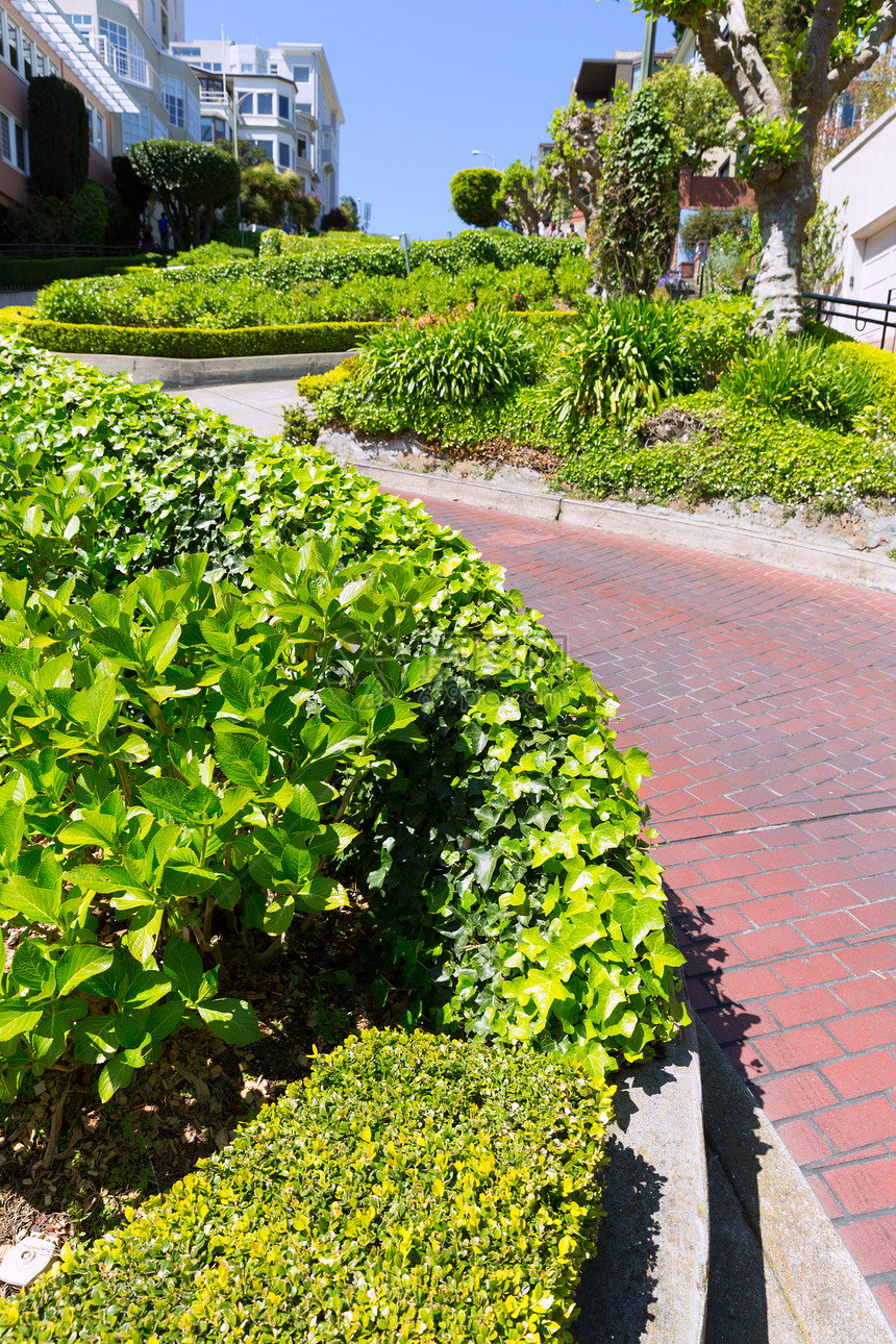 圣弗朗西斯科隆巴德街花园景观吸引力爬坡花园旅游假期历史性曲线公园房子图片