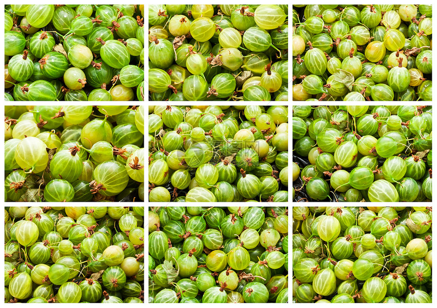鹅莓绿色水果食物白色团体浆果营养甜点宏观图片