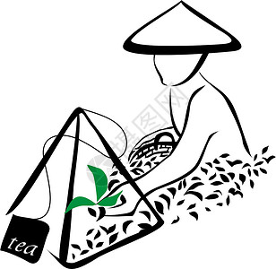 茶叶输液包茶叶收获标志草地生长场地环境叶子花园旅游植物爬坡文化插画