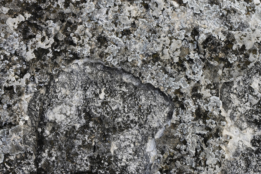 自然背景 有石头和苔岩石黑色地衣宏观地质学瓦砾苔藓灰色历史图片