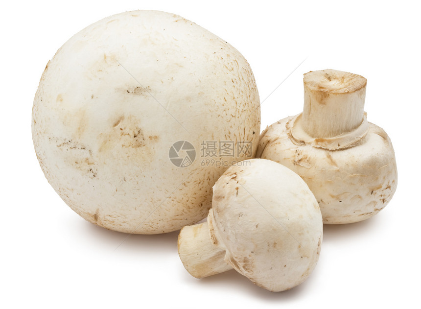 香农蘑菇团体白色美食蘑菇宏观蔬菜食物营养茶点图片