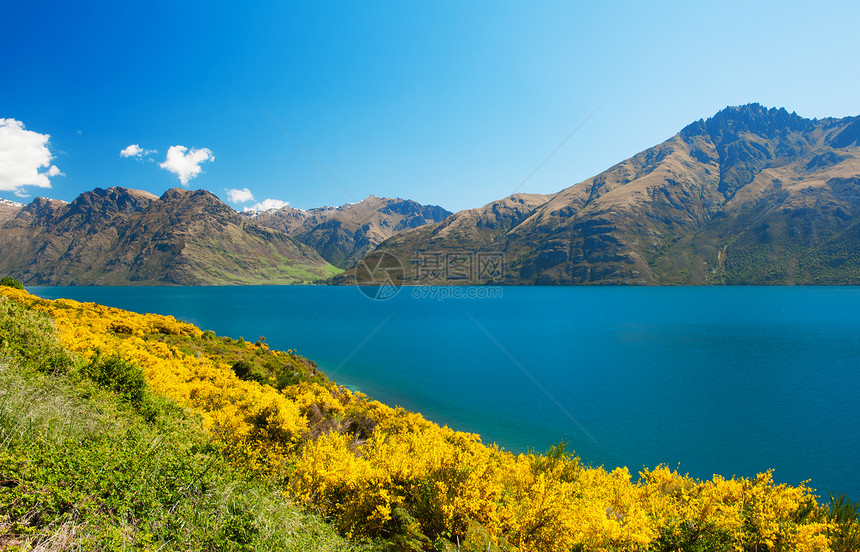 瓦卡提普湖环境蓝色天空黄色石蜡高山远景风景山脉墙纸图片