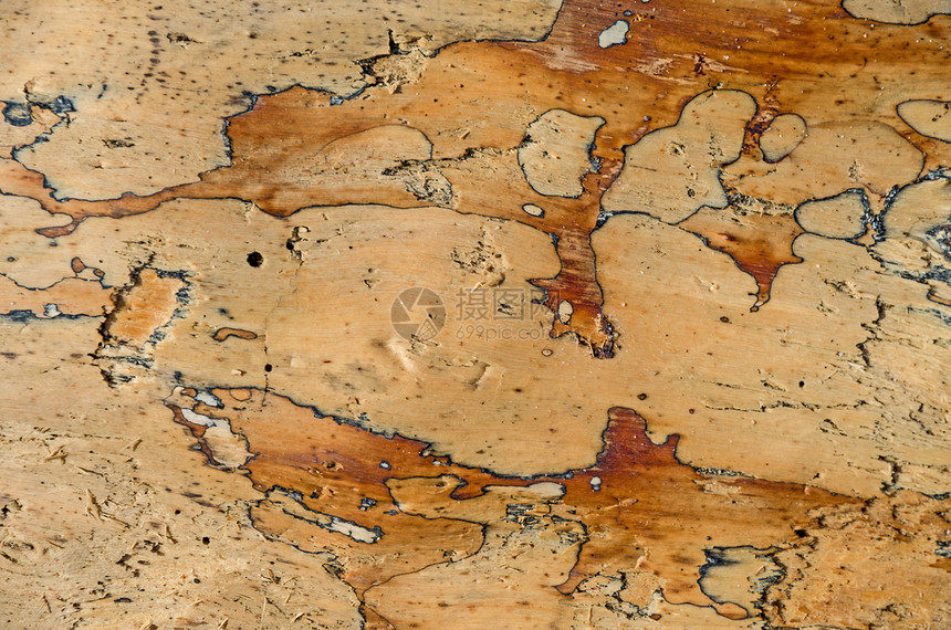 木表面桌子木板装饰材料地面木材地板样本烹饪木头图片