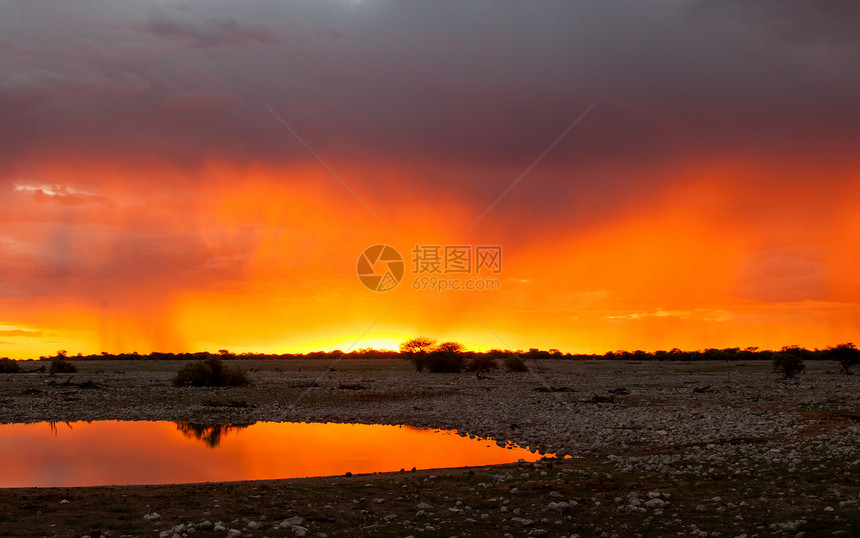 Etosha国家公园在日落的景象荒野沙漠天空游戏橙子环境太阳世界公园橡木图片