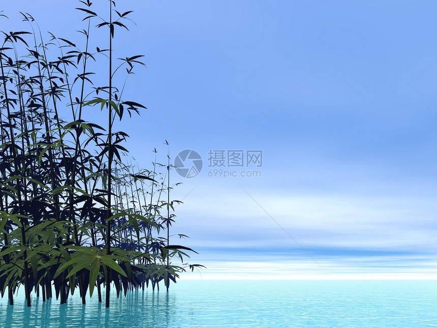竹子 - 三维图片