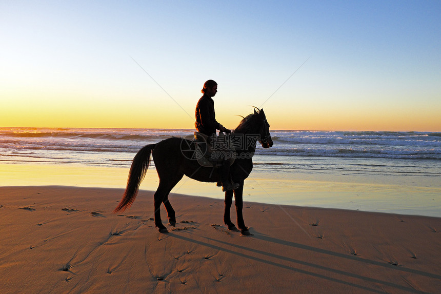 日落时马在海滩骑马旅行反射野生动物哺乳动物骑术沙漠波浪自由太阳牛仔图片