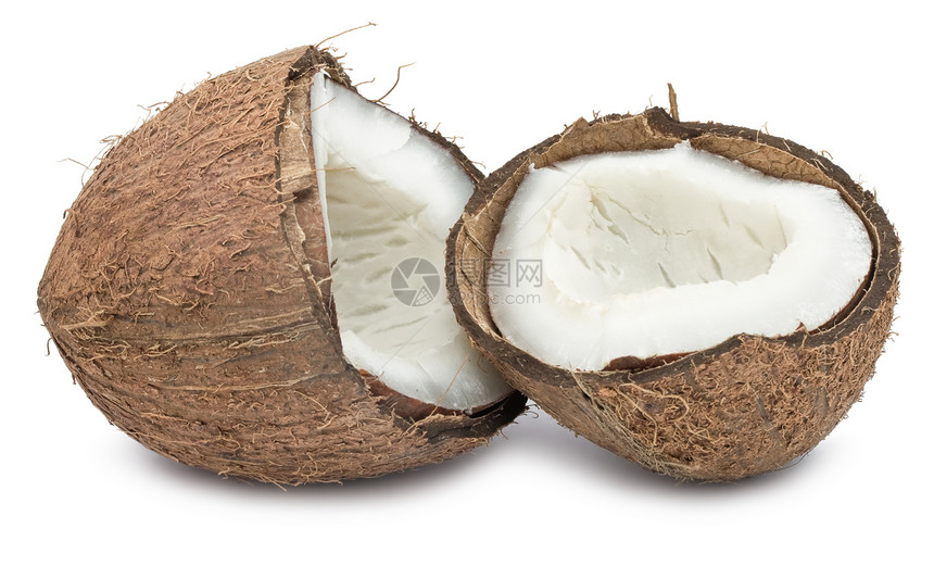 椰子棕色热带可可食物蔬菜牛奶工作室水果白色坚果图片