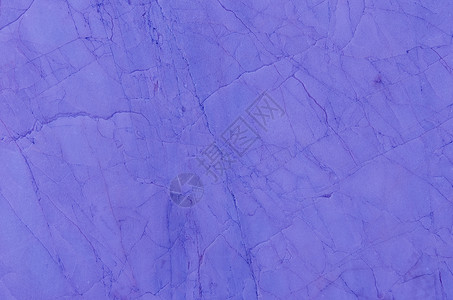 紫大理花纹理背景图片