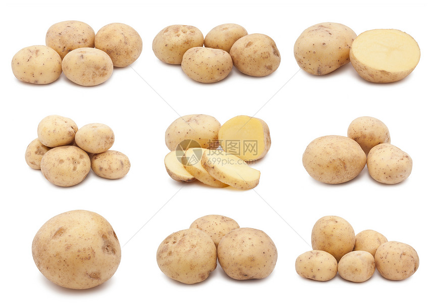 马铃薯淀粉团体白色块茎烹饪农业棕色植物收成营养图片