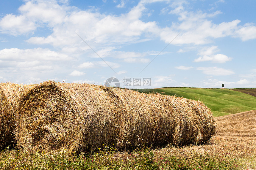托斯卡农业全景绿色乡村农场农村天空风景草地国家农田图片