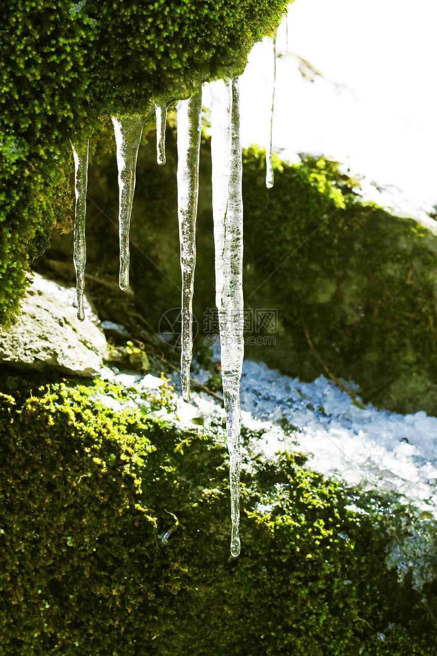 森林中石头上挂着的冻冰棒冻结苔藓白色岩石季节水晶天气绿色冰柱图片