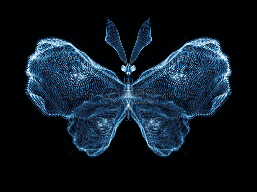 象形蝴蝶渲染想像力宏观森林设计漏洞航班昆虫翅膀几何学图片