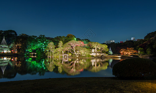 Rikukugien花园季节性照明地标城市树木花园公园反射江户地区池塘森林图片