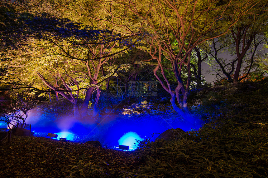 Rikukugien花园季节性照明地标江户池塘花园反射树木公园森林城市地区图片