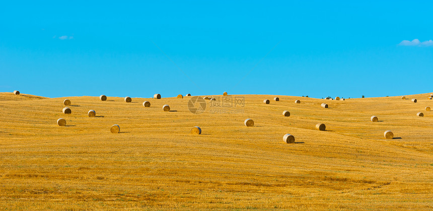 托斯卡纳草地农场收成农田全景天空草原环境国家蓝色图片