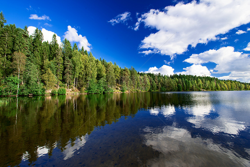 夏季森林湖蓝色公园天堂旅行地形池塘天空自由草地美丽图片