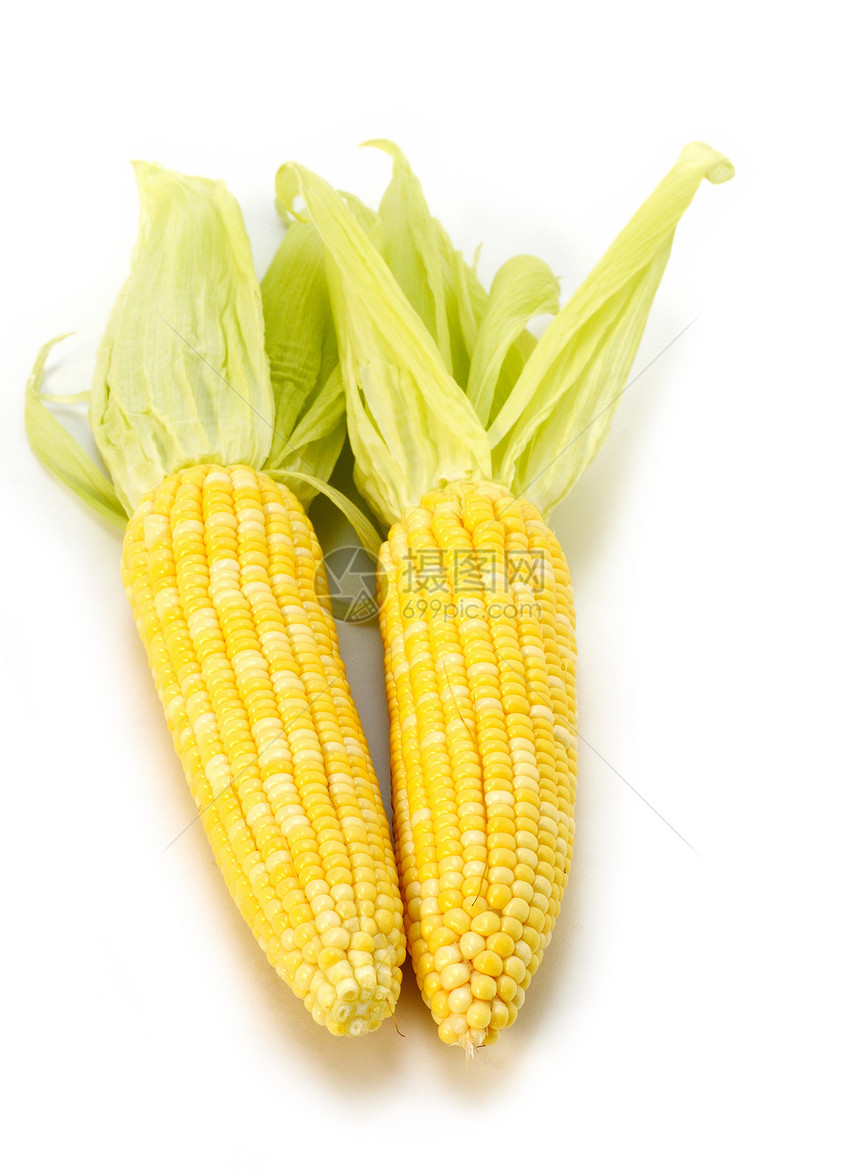 孤立的甜甜玉米健康蔬菜粮食金子收成饮食农业叶子食物营养图片