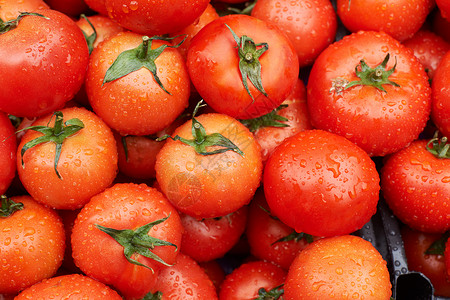 供出售的里梅西红番茄背景图片