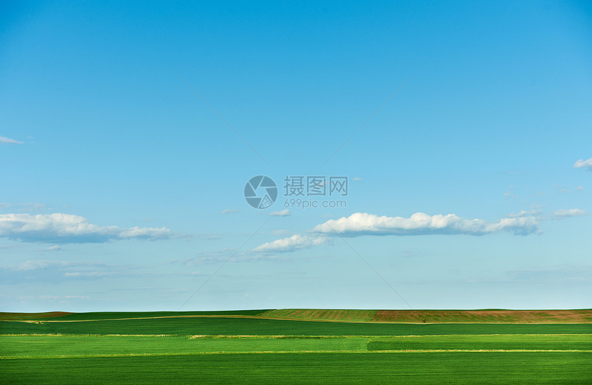 春天的耕地面积农业绿色小麦地平线场地农村天空种植园图片