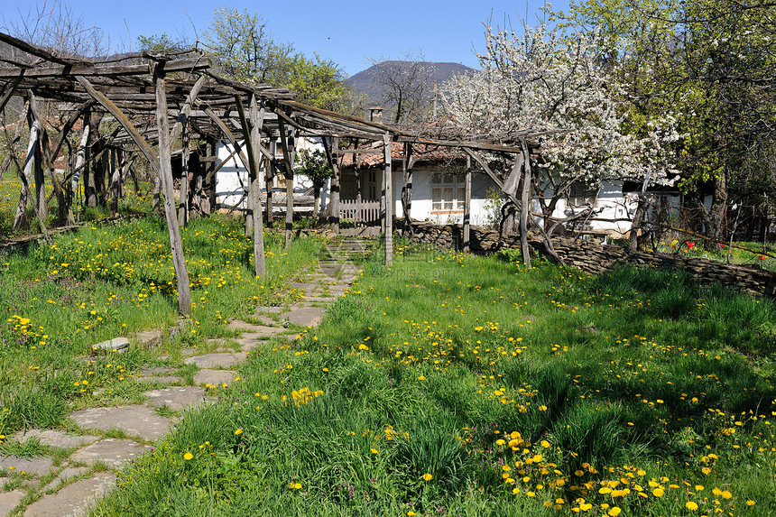 保加利亚农村房屋的绿院子图片