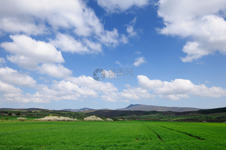 春青绿草地日落蓝色风景环境土地全景生态季节美丽国家图片