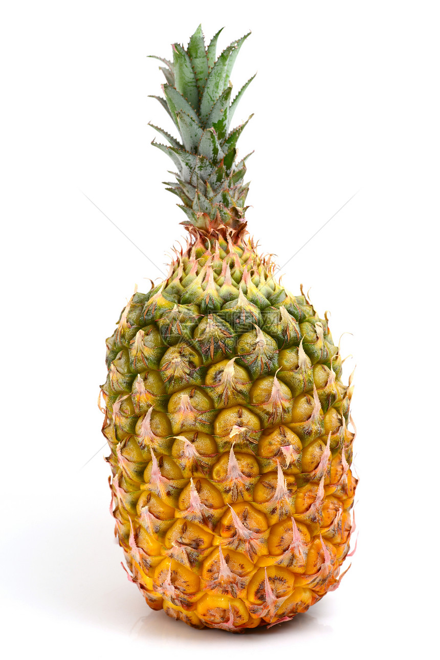 菠萝气候白色热带对象香味效果果汁植物绿色食物图片