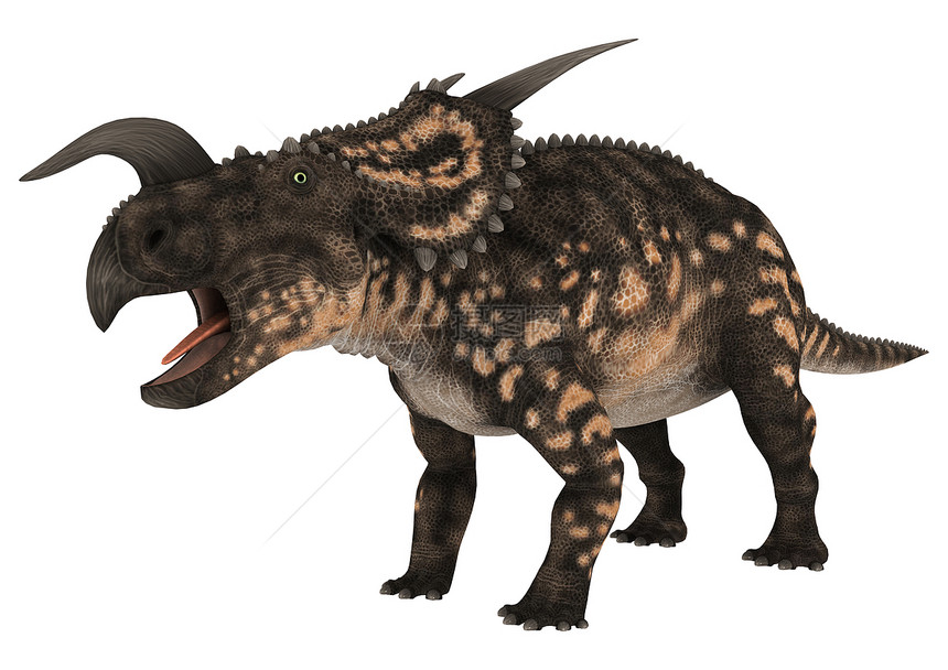 恐龙Eniosaur生物草食性插图广度时代白色怪物古生物学动物博物馆图片